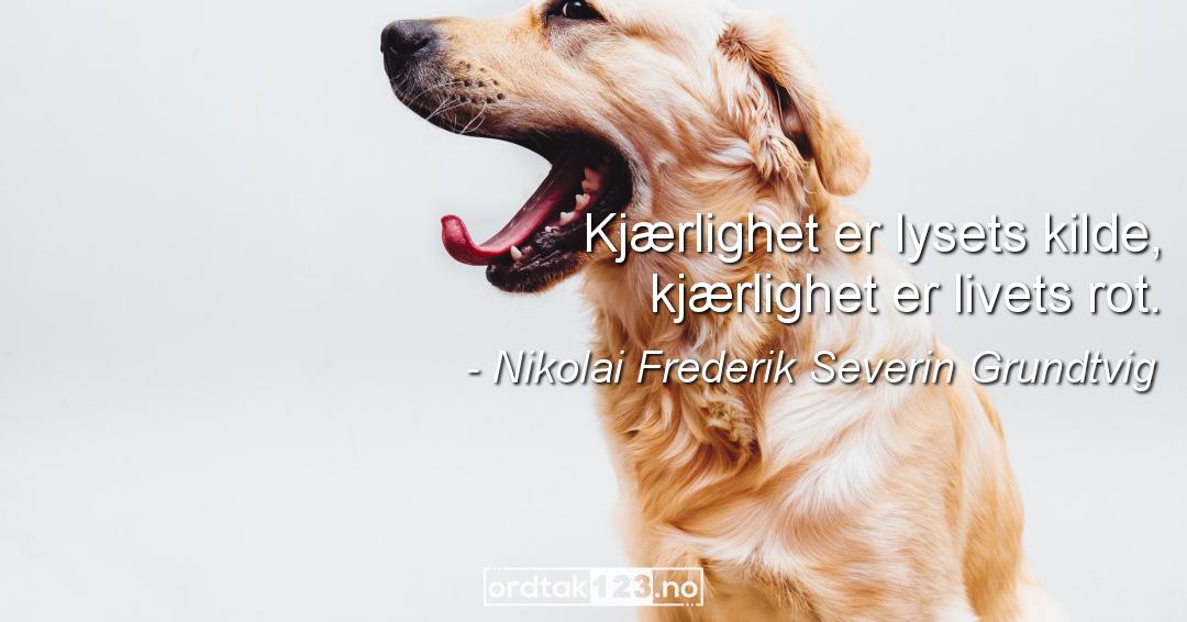 Ordtak Nikolai Frederik Severin Grundtvig - Kjærlighet er lysets kilde, kjærlighet er livets rot.