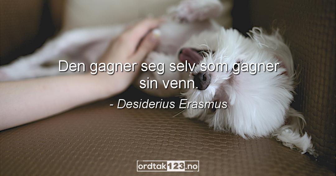Ordtak Desiderius Erasmus - Den gagner seg selv som gagner sin venn.